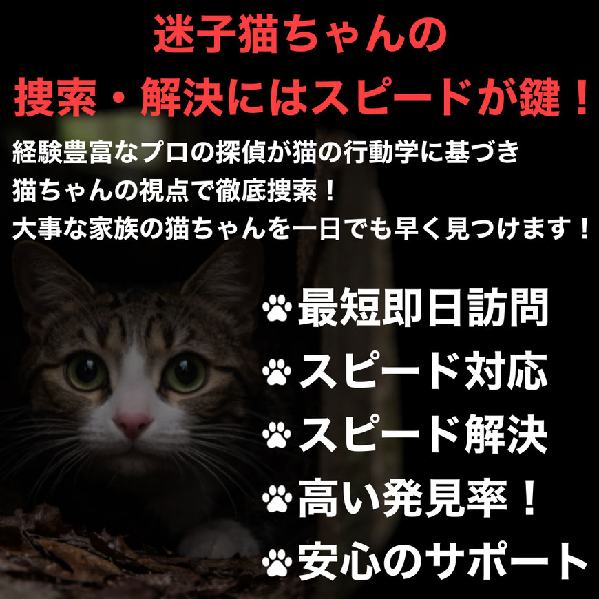 大切な家族である猫ちゃんと  一日でも早く無事に再会できるよう  飼い主様の不安に寄り添いながら  誠意をもって捜索を行います。     突然、愛猫がいなくなり  どうすればいいのか分からず  強い不安を感じている  飼い主様も多いと思います。     ペット探偵キャッツアイは  迷子猫・脱走猫の捜索を専門とする  迷子猫専門のペット探偵です。     猫の行動学に基づき  猫の性格・生活環境・脱走状況を  丁寧にヒアリングし行動範囲や  潜みやすい場所を分析したうえで  猫ちゃんの視点に立った  捜索を