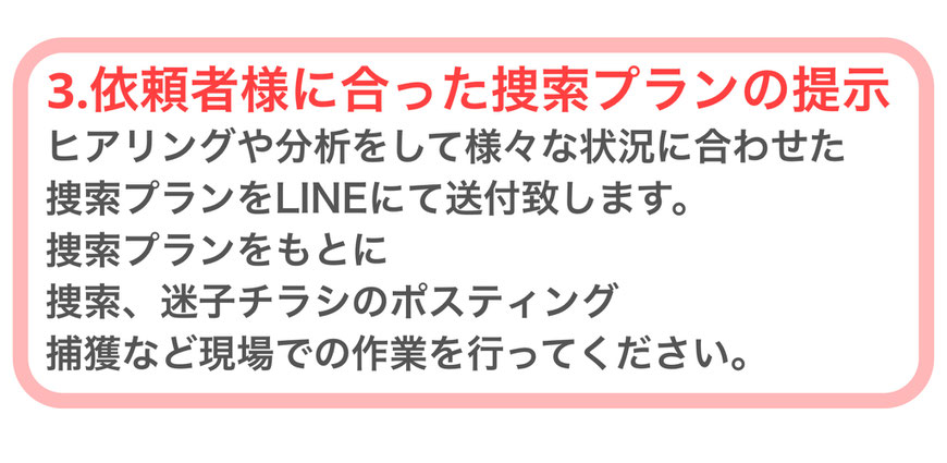 ペット探偵　迷子猫　迷い猫　チラシ　ポスター　配布　キャッツアイ