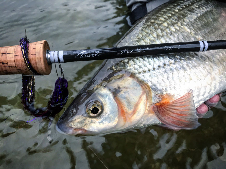 Danica Dudes Flyfishing Blog - Bayern, Germany, Munich, München, Deutschland Fliegenfischen