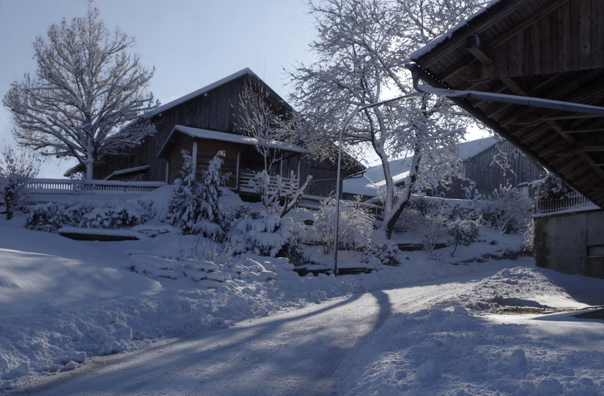 Winter