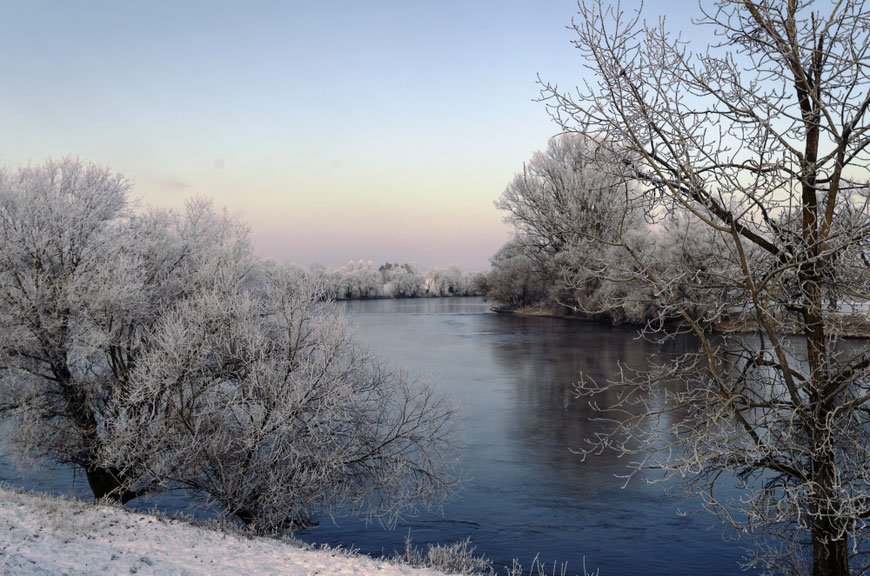 Die Donau bei Straubing im Winter
