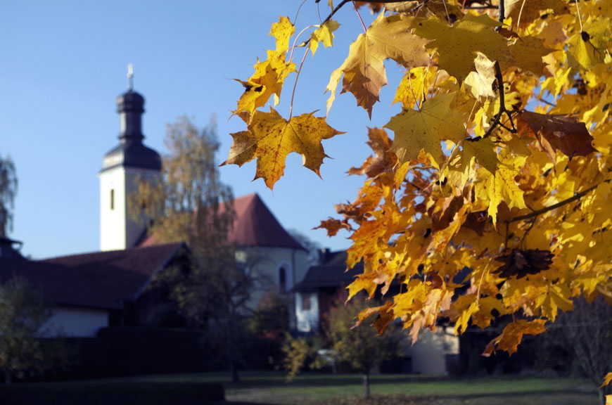 Herbstfärbung