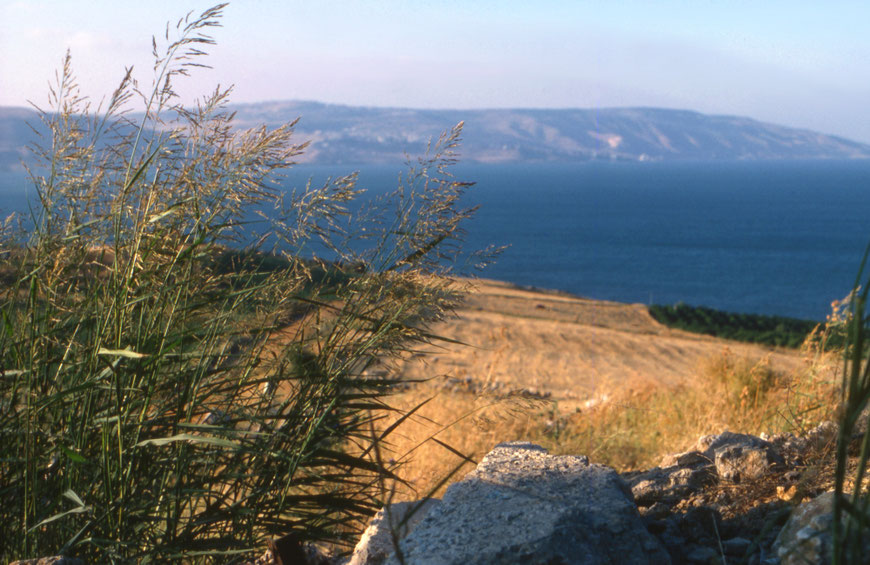 See Genezareth in Israel