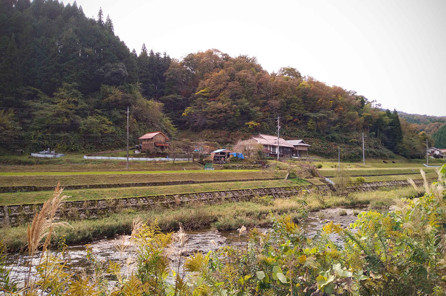 敷地風景。手前を江の川の支流”出羽川”が流れる