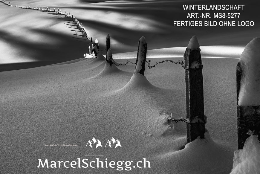 Wandbild, Winterlandschaft, Schwarz-Weiss