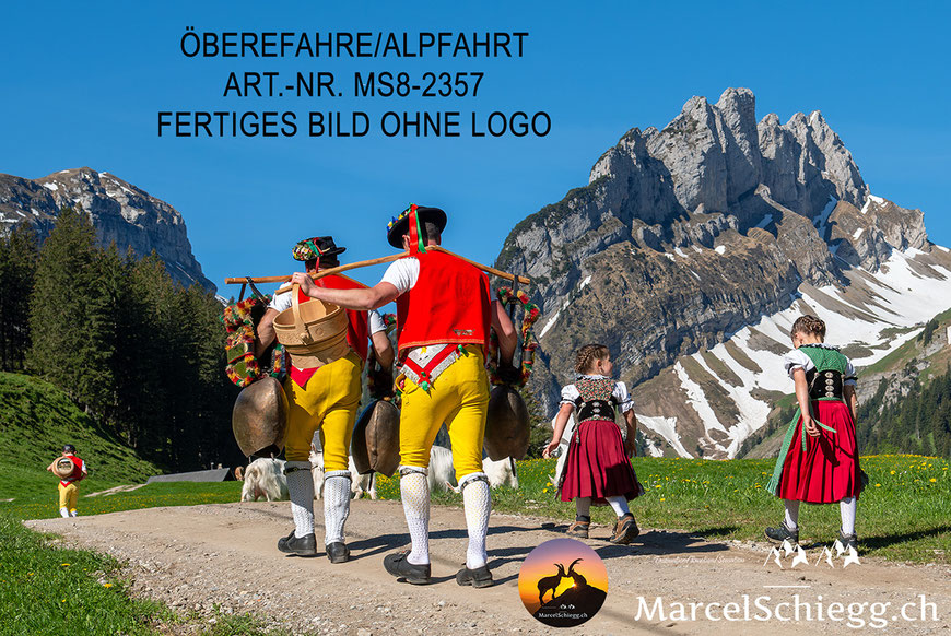 Leinwandbild-Öberefahre, Appenzeller Tradition, Alpfahrt, Marcel Schiegg