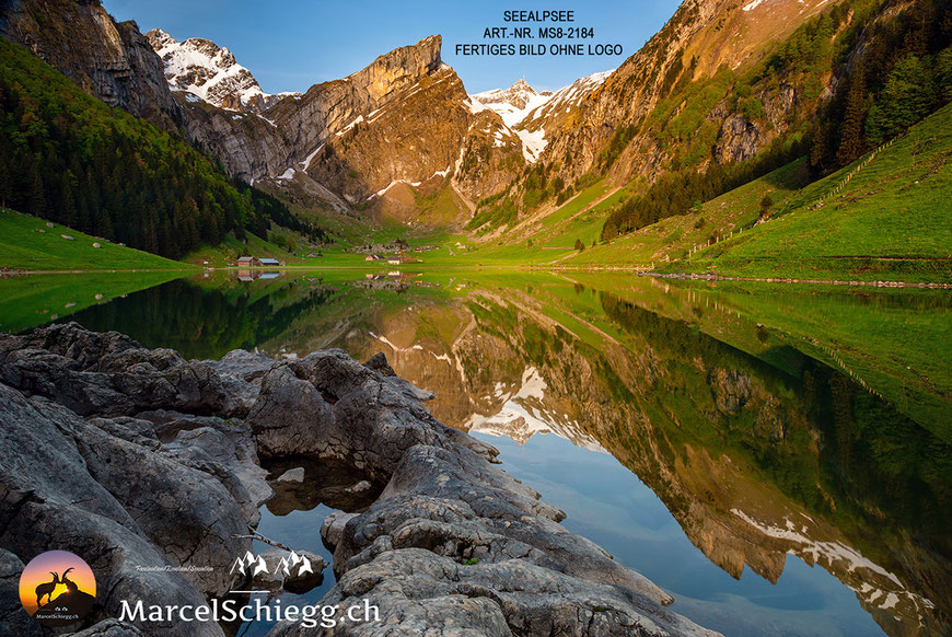 Seealpsee, Berggasthaus Seealpsee, Berggasthaus Forelle