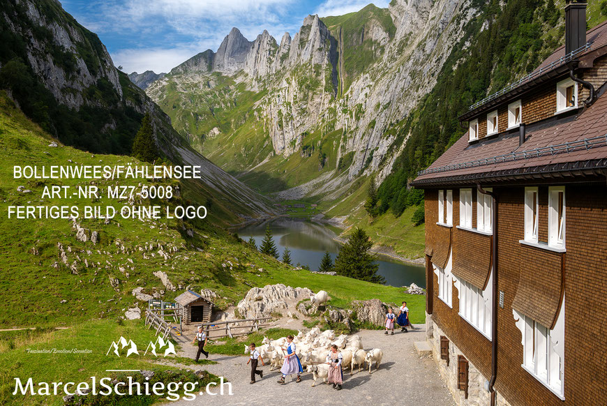 Poster, Fine Art Print, Fählensee, Fälensee, Bollenwees, Alpstein, Marcel Schiegg