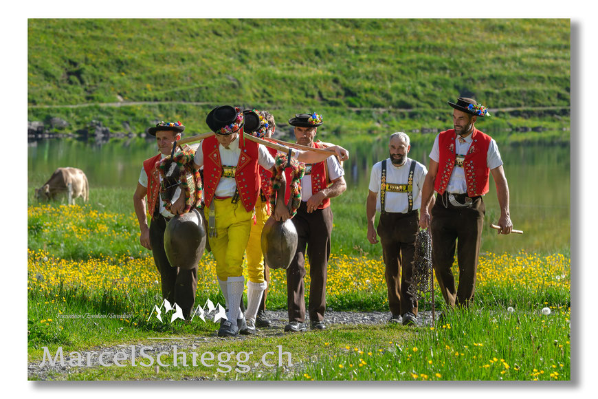 Alpfahrt, Brauchtum, Tradition, Alp Soll, Brülisau, Säntis, Ziegen, Kühe, Hornkühe, Appenzellerland, Appenzell, Schweiz, Alpstein, Seealp, Seealpsee, Spiegelung