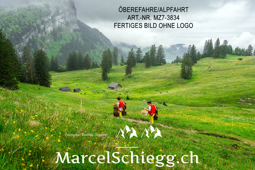 Leinwandbild-Öberefahre, Appenzeller Tradition, Alpfahrt, Marcel Schiegg