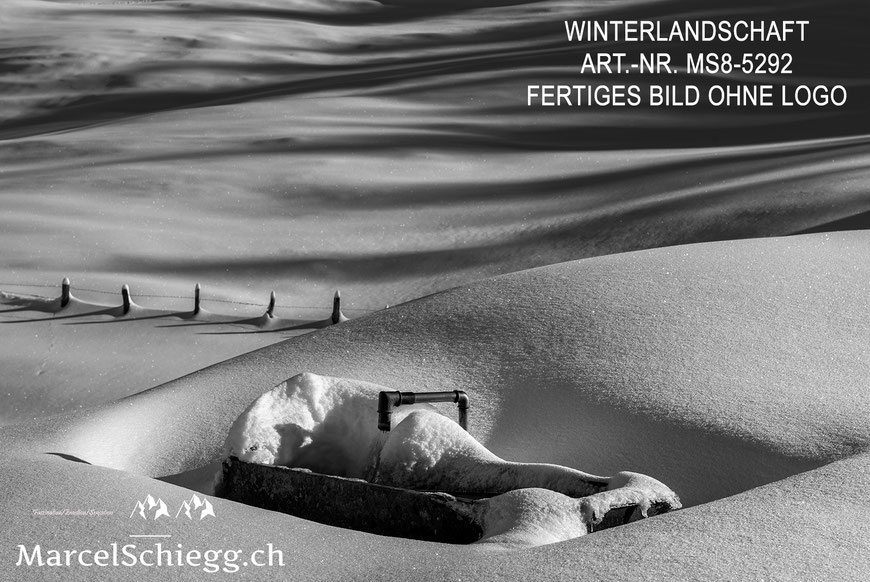 Wandbild, Winterlandschaft, Schwarz-Weiss
