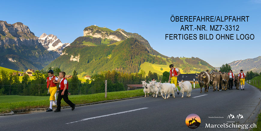 Leinwandbild-Öberefahre, Appenzeller Tradition