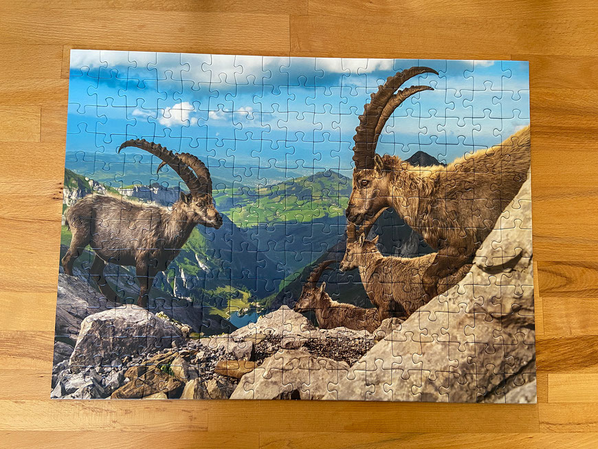 Marcel Schiegg, Fotografie, Puzzle, Steinböcke, carta media