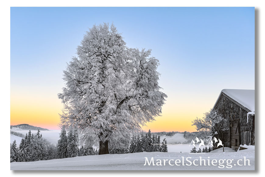 Appenzellerland/Winterimpressionen Art.-Nr. MZ7-9106