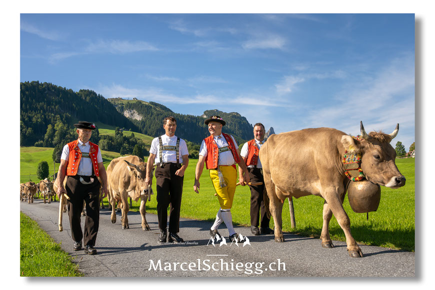 Marcel Schiegg, Fotografie, Brauchtum, Tradition, Alpfahrt, Öberefahre, Alpaufzug, Alpabzug, Alpstein, Appenzell, Schweiz, Marcel Schiegg Fotografie, Appenzellerland, Alpsteinfotografie, Alpsteinfotograf