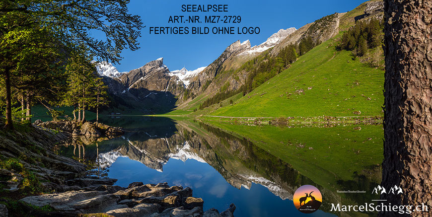 Seealpsee, Berggasthaus Seealpsee, Berggasthaus Forelle