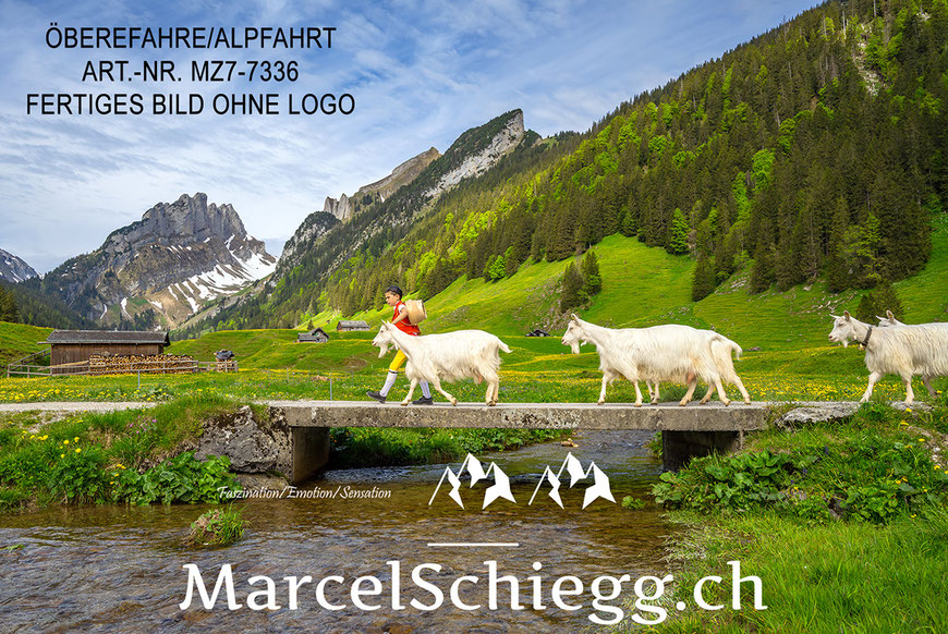 Leinwandbild-Öberefahre, Appenzeller Tradition