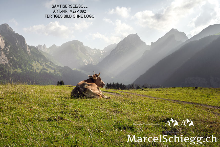 Sämtisersee, Plattenbödeli, Alpstein, Hornkuh, Alp Soll
