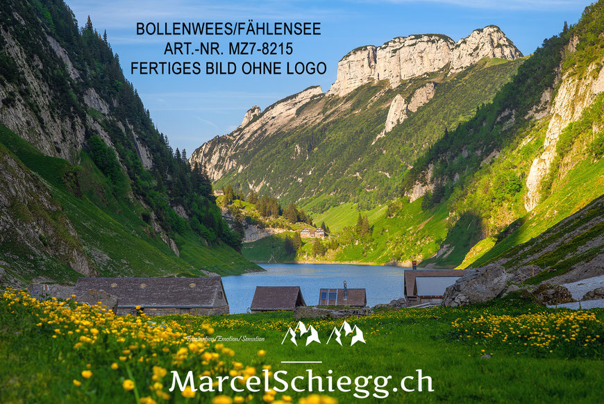 Poster, Fine Art Print, Fählensee, Fählenalp, Bollenwees, Alpstein, Marcel Schiegg