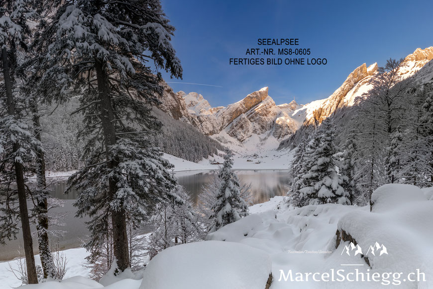 Marcel Schiegg, Marcel Schiegg Fotografie, Wandbild, Wandbilder, Wanddekoration, Leinwandbild, AluDibond, Aescher, Seealpsee, Alpstein, Alpsteinfotograf