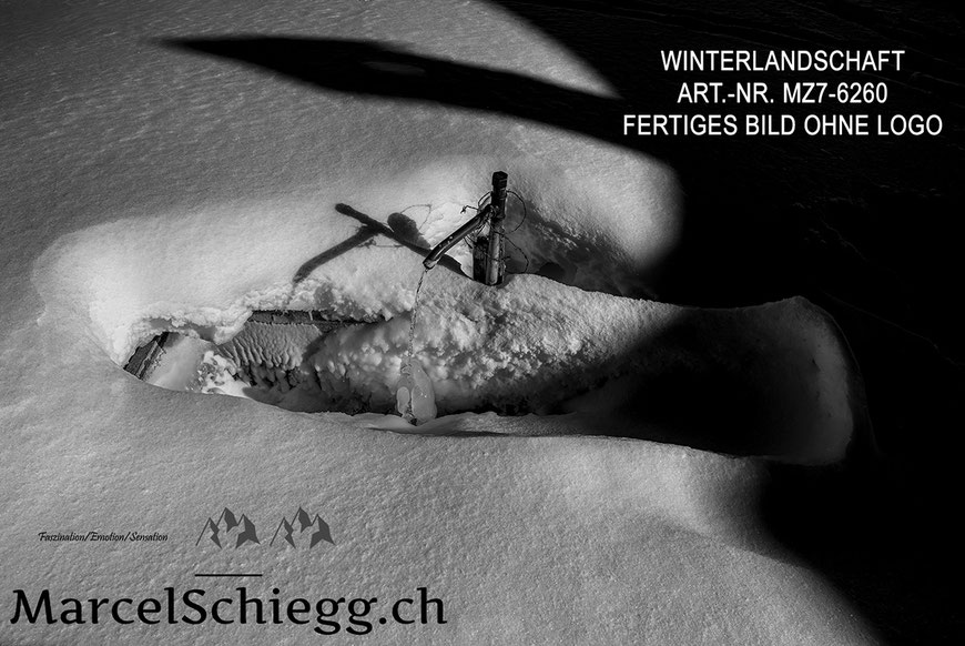 Wandbild, Winterlandschaft, Schwarz-Weiss