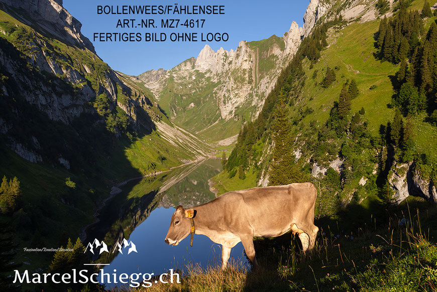 Fählensee, Alpstein, Bergsee