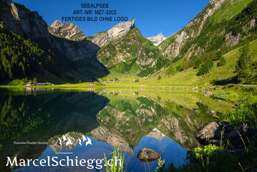 Seealpsee, Berggasthaus Seealpsee, Berggasthaus Forelle