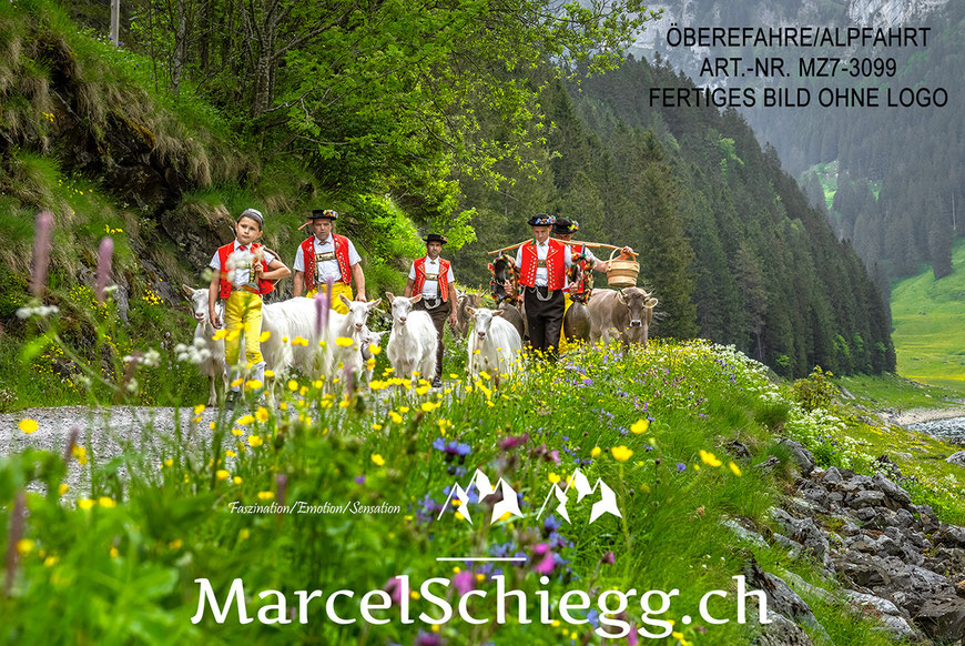 Leinwandbild-Öberefahre, Appenzeller Tradition