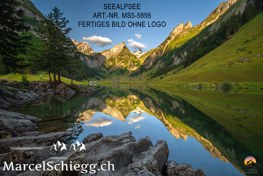 Marcel Schiegg Fotografie, Seealpsee mit Spiegelung