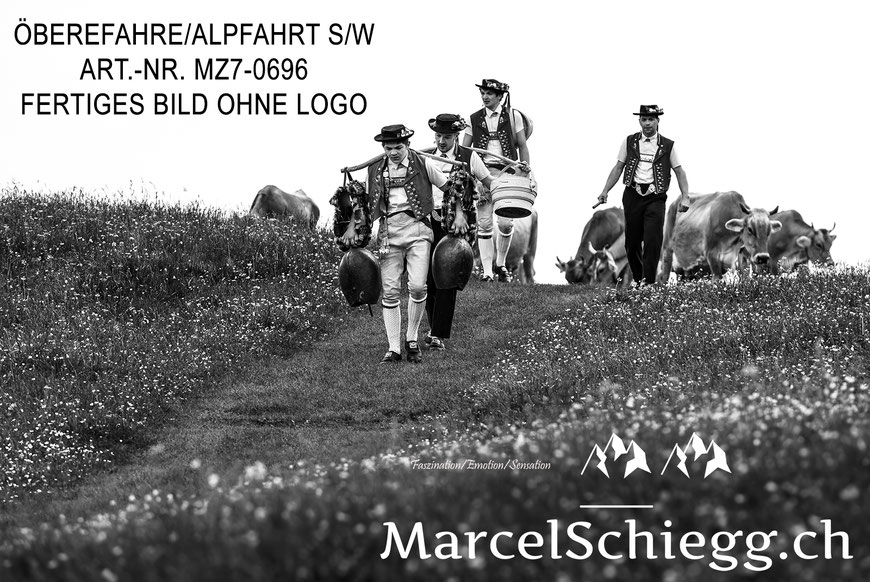 Marcel Schiegg, Öberefahre, Appenzellerland, Alpfahrt schwarz-weiss