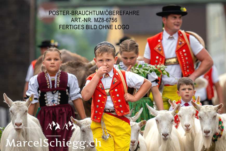 Poster, Brauchtum, Öberefahre, Appenzell, Appenzellerland, Tradition, Marcel Schiegg