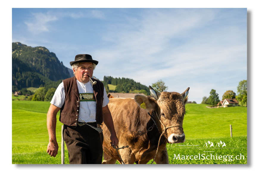 Marcel Schiegg, Fotografie, Brauchtum, Tradition, Alpfahrt, Öberefahre, Alpaufzug, Alpabzug, Alpstein, Appenzell, Schweiz, Marcel Schiegg Fotografie, Appenzellerland, Alpsteinfotografie, Alpsteinfotograf