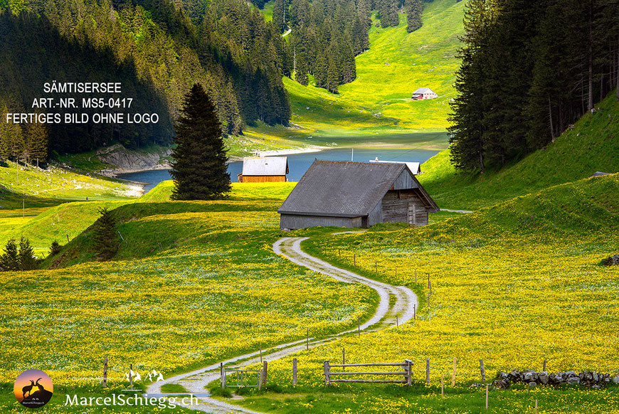Sämtisersee, Plattenbödeli, Berggasthaus Plattenbödeli, Alpstein