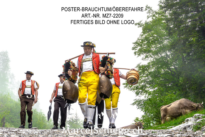 Poster, Brauchtum, Öberefahre, Appenzell, Appenzellerland, Tradition, Marcel Schiegg
