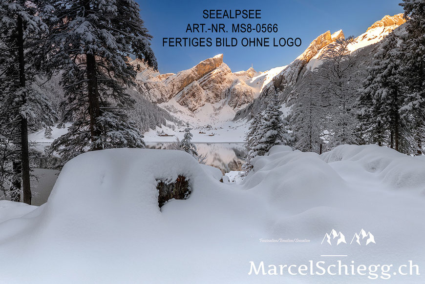 Marcel Schiegg, Marcel Schiegg Fotografie, Wandbild, Wandbilder, Wanddekoration, Leinwandbild, AluDibond, Seealpsee, Seealpsee im Winter, Alpstein, Alpsteinfotograf