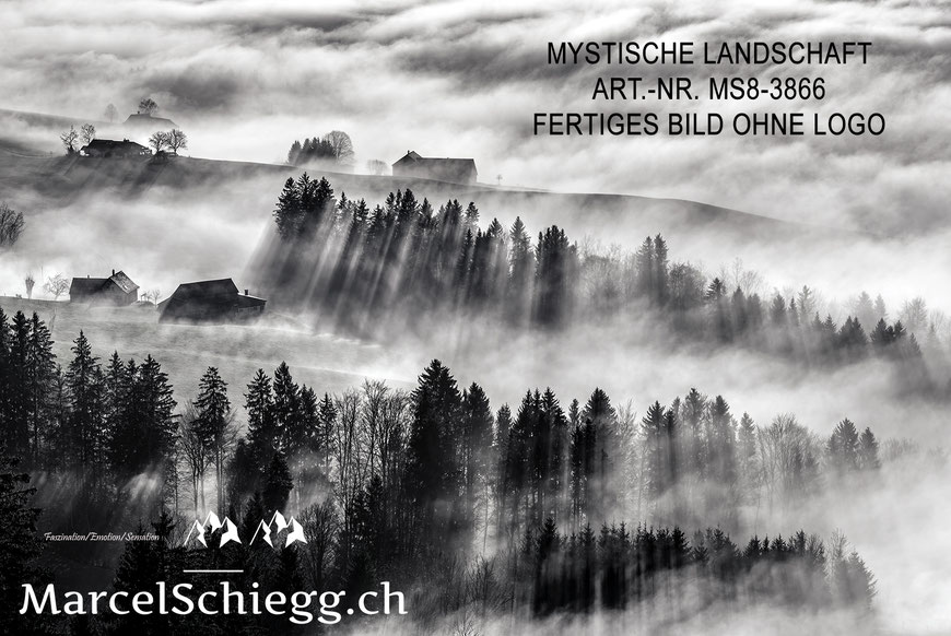 Wandbild, Mystische Landschaft, Nebel