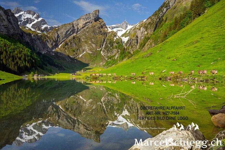 Marcel Schiegg, Fotografie, Brauchtum, Tradition, Alpfahrt, Öberefahre, Alpaufzug, Alpabzug, Seealpsee, Alpstein, Appenzell, Schweiz