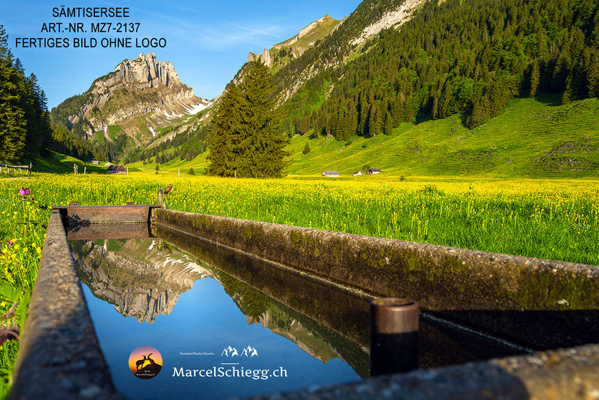 Sämtisersee, Plattenbödeli, Berggasthaus Plattenbödeli, Alpstein, Appenzell, Appenzellerland