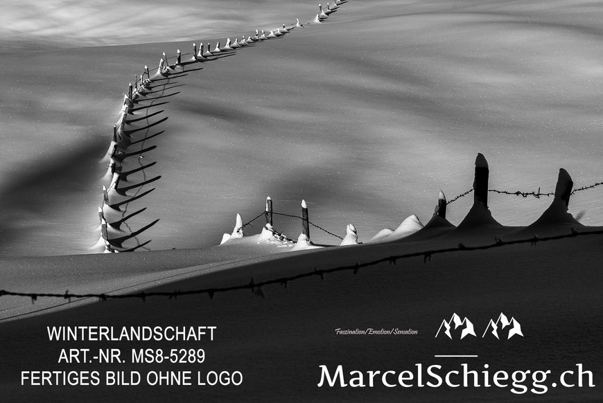 Wandbild, Winterlandschaft, Schwarz-Weiss