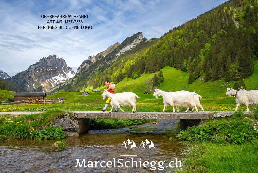 Marcel Schiegg, Wandbild, Spannbild, Wanddekoration, Appenzell, Appenzellerland, Raumakustik, LED Wandbild, Shop, Leinwandbild, Brauchtum, Tradition, Alpfahrt, Öberefahre, Alpstein, Dibond Finerart