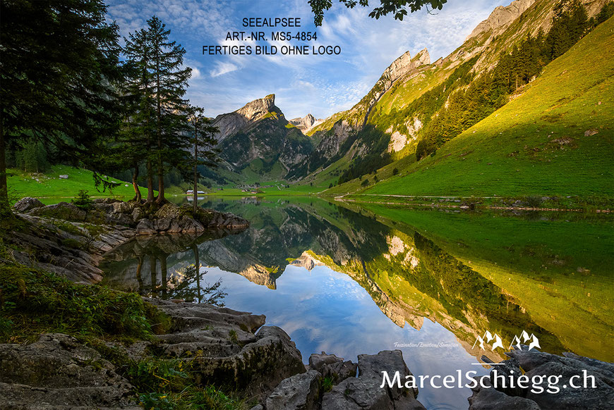 Marcel Schiegg, Marcel Schiegg Fotografie, Wandbild, Wandbilder, Wanddekoration, Leinwandbild, AluDibond, Seealpsee, Alpstein, Alpsteinfotograf