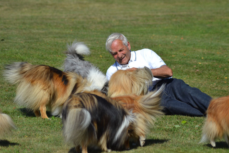 Derek Rigby surrounded by Lythwood and Lundecock Shelties, summer 2018 in Sweden. Photo: Ulrika Nordieng