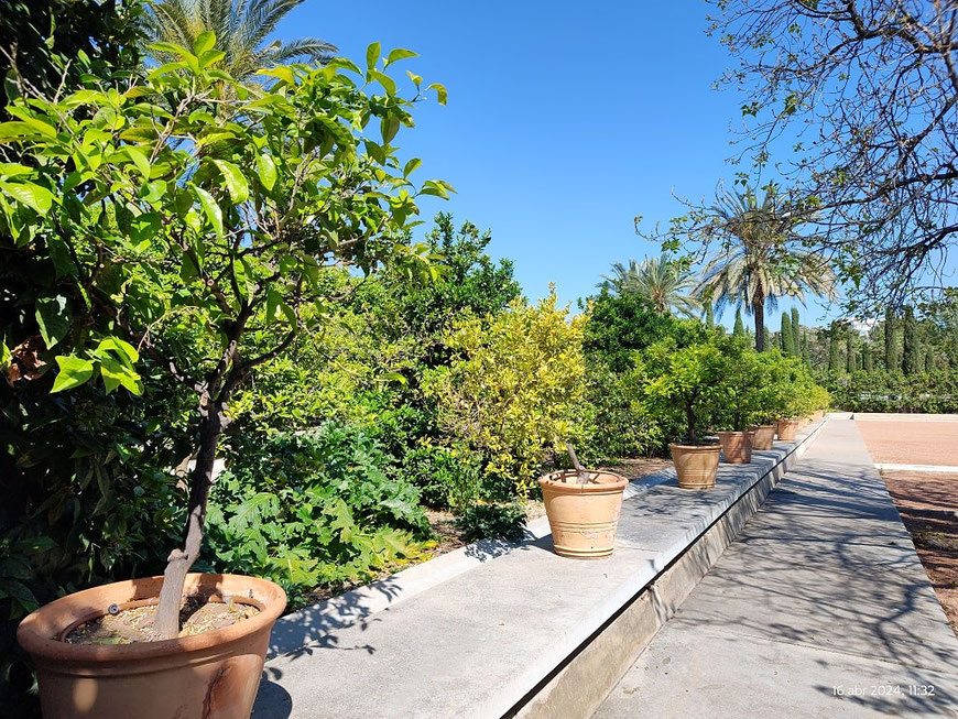 El Jardín de la Hespérides de València cuenta con diferentes entradas para acceder al interior una vez que has pasado la puerta principal