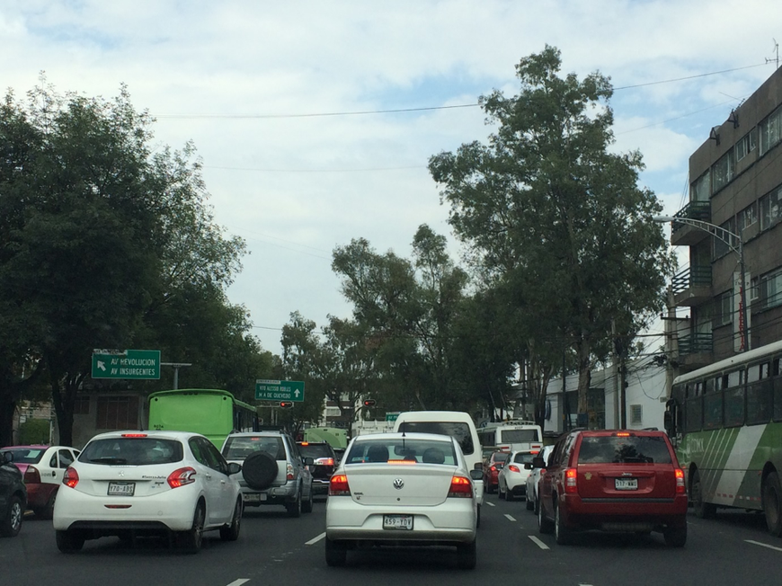 Au loin, des bus verts, bus faisant partie du réseau de transports publics de la ville