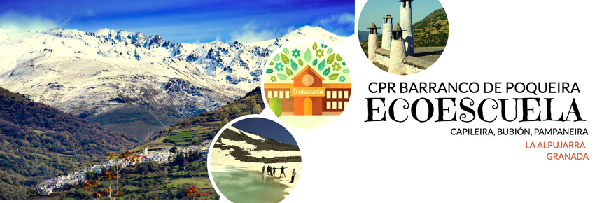 Página web de ecoescuelabarrancopoqueira
