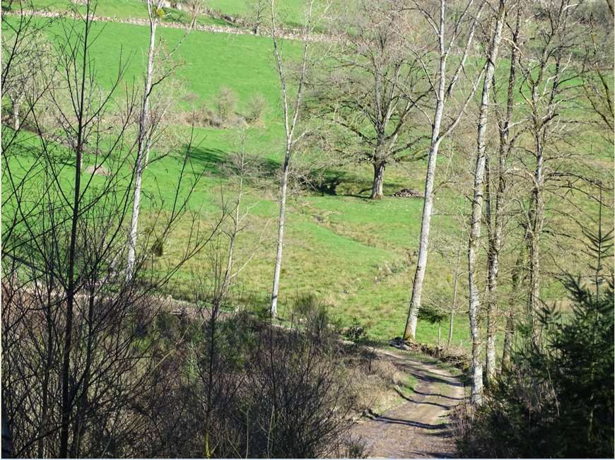 Par où passait le père Lebretton, lieu dit "la Barnette"