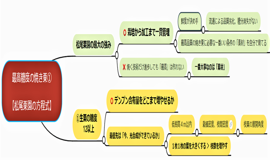 松尾栗園の方程式①　～糖度40の焼き栗の作り方～