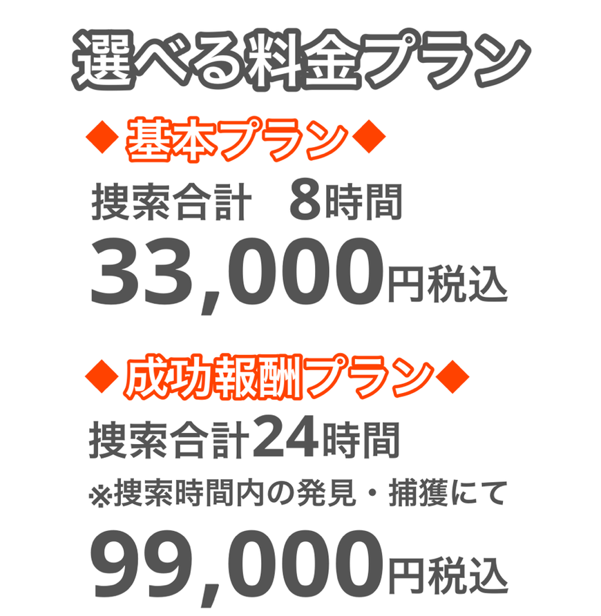 成功報酬　料金プラン　ペット探偵キャッツアイ　猫探偵　スピード解決