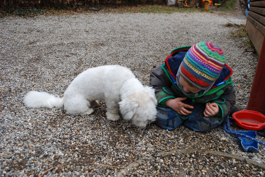 Kindergarten Hund Vito Schwemmlein Kigas Webseite