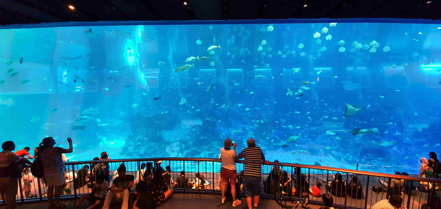 Singapore Oceanarium